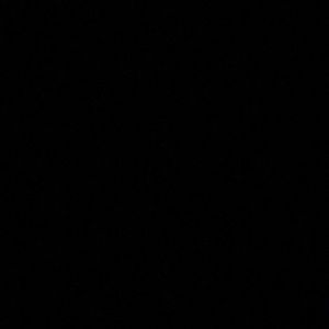 Meet your Posher, Zeinab